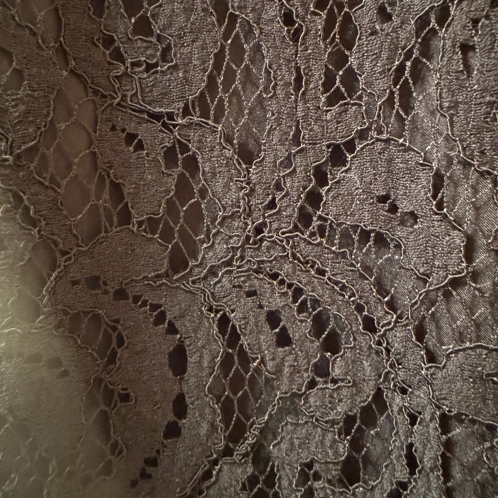 NWT Ann Taylor Elegant Two-Tone Black and Cream Lace Dress - Picture 3 of 16